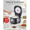 imageToshiba Mini Rice Cooker 3 Cups Uncooked Small Rice Cooker Steamer ampamp Warmer With Fuzzy Logic And OneTouch Cooking 24 Hour Delay Timer And Auto Keep Warm Feature WhiteGrey